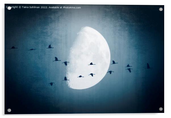 The Moon Sees Cranes Leave 1 Acrylic by Taina Sohlman