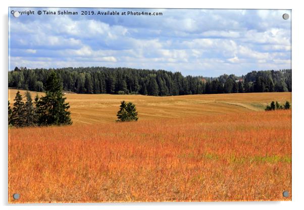 August Landscape with Orange Sorrel Meadow Acrylic by Taina Sohlman