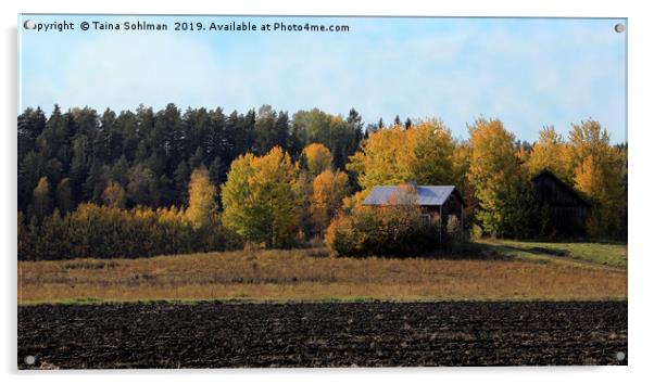 Autumn in the Country Acrylic by Taina Sohlman