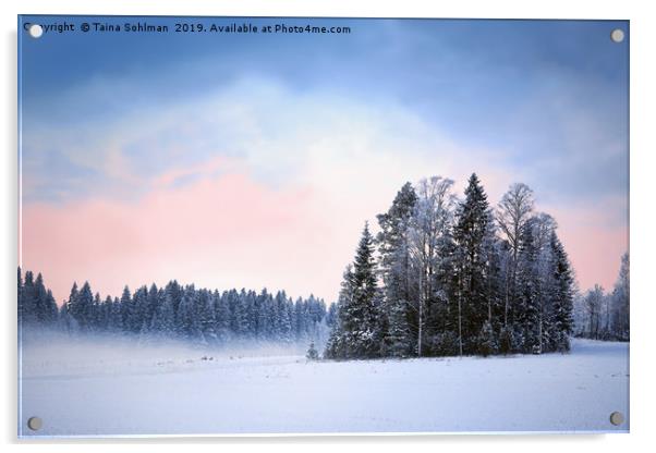 Winter Nightfall  Acrylic by Taina Sohlman