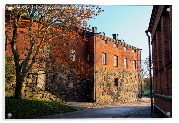 Suomenlinna Street in October Acrylic by Taina Sohlman