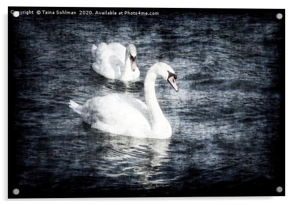 Dreamy Pair of Swans Acrylic by Taina Sohlman