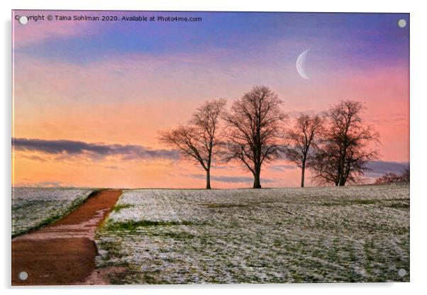 Early Winter Morning Magic  Acrylic by Taina Sohlman