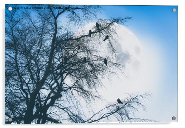 Crows against Full Moon Acrylic by Taina Sohlman