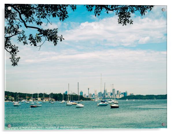 Sydney Harbour view from Watsons Bay with central business district of Sydney in the distance, New South Wales, Australia Acrylic by Mehul Patel