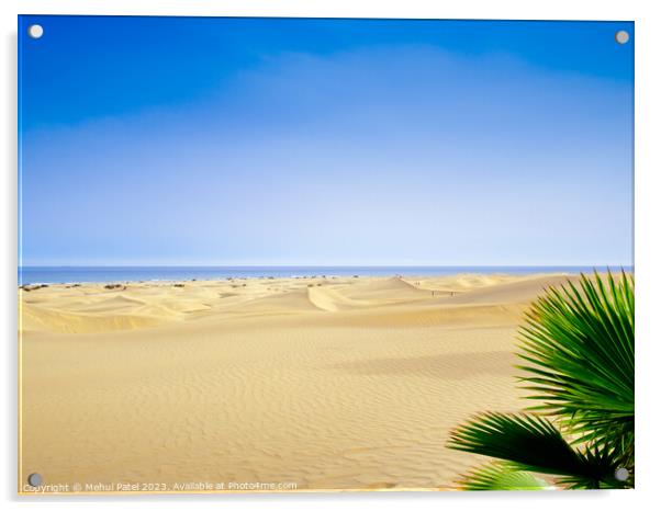 Dunas de Maspalomas (Sand dunes of Maspalomas), Gran Canaria, Ca Acrylic by Mehul Patel