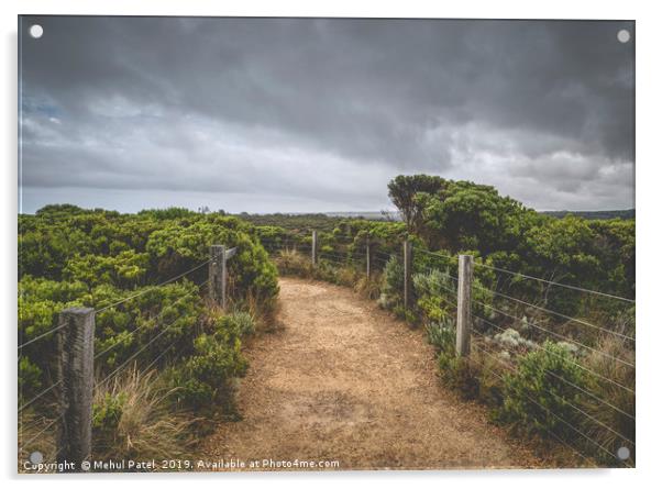 Pathway in national park under cloudy sky Acrylic by Mehul Patel