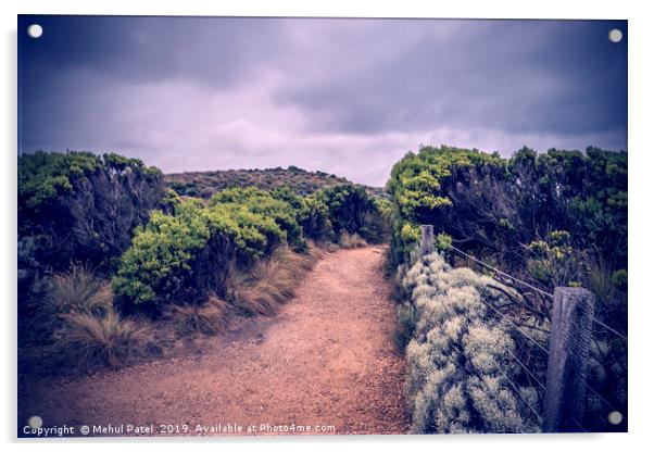 Trail in Port Campbell National Park, Australia Acrylic by Mehul Patel