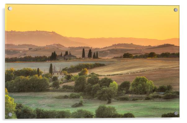 Typical Tuscany view at sunset Acrylic by Steve Adams