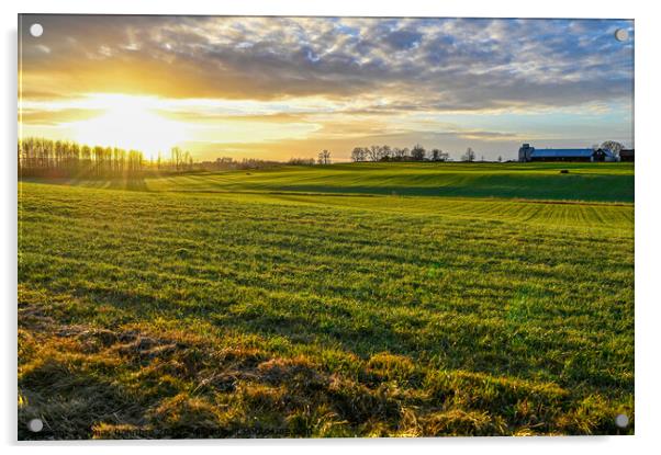 scenic wiew over green agriculture field and sunset Acrylic by Jonas Rönnbro