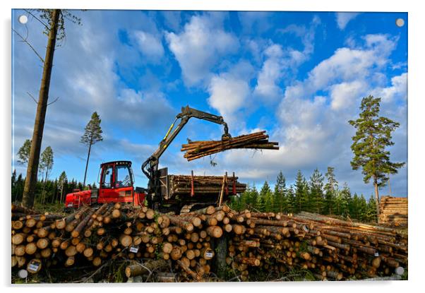 Forest machine lifting timber to a pile of timber Acrylic by Jonas Rönnbro