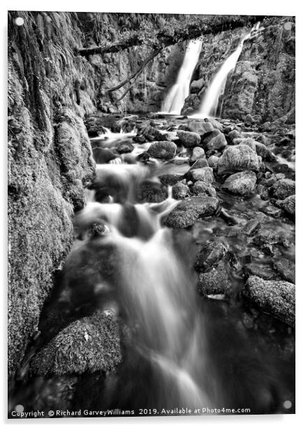 Venford Falls Acrylic by Richard GarveyWilliams