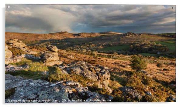 Classic Dartmoor Scene Acrylic by Richard GarveyWilliams