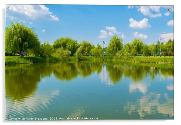 water lake reflection of green willow trees Acrylic by Florin Brezeanu