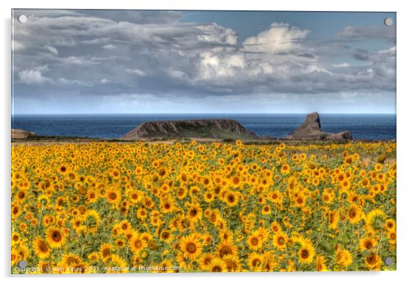Rhossili Sunflowers Acrylic by Ken Jones