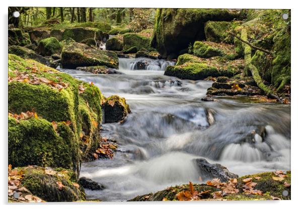 Golitha Falls.  Acrylic by Ian Taylor