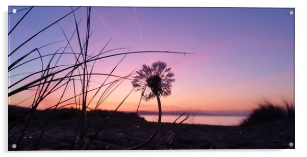 Swansea sunrise Acrylic by Duane evans