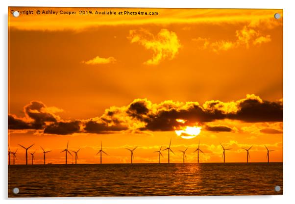 Sunset over the Walney offshore Wind farm Acrylic by Ashley Cooper