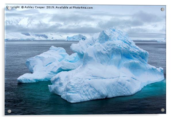 Antarctic blue berg. Acrylic by Ashley Cooper