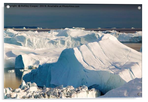 Greenland Icebergs Acrylic by Ashley Cooper