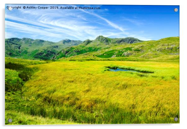 Langdale Pikes. Acrylic by Ashley Cooper