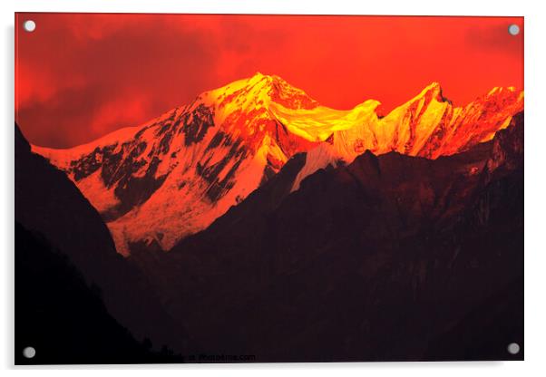 Himalayan sunset Acrylic by Ashley Cooper