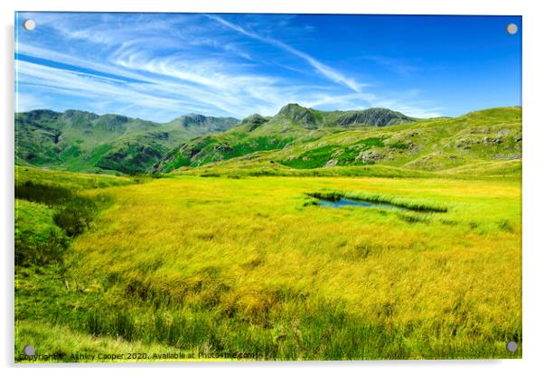 Langdale Pikes Acrylic by Ashley Cooper