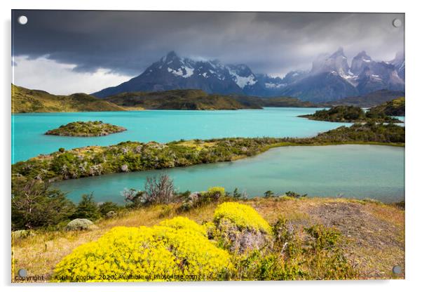 Torres del Paine National Park Acrylic by Ashley Cooper