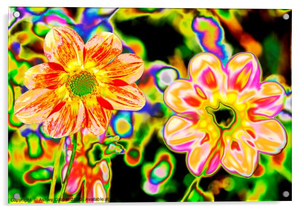 Hippy flowers Acrylic by Ashley Cooper