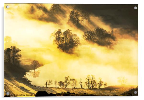 Loughrigg Tarn Acrylic by Ashley Cooper