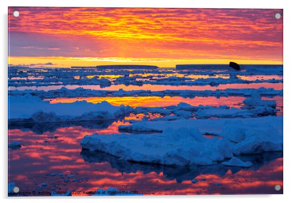Antarctic sunset Acrylic by Ashley Cooper