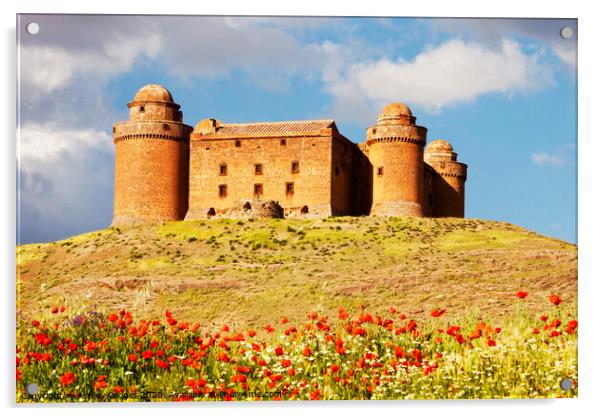 La Calahorra Castle poppies. Acrylic by Ashley Cooper