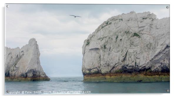 The Needles .Isle of Wight Acrylic by Peter Smith