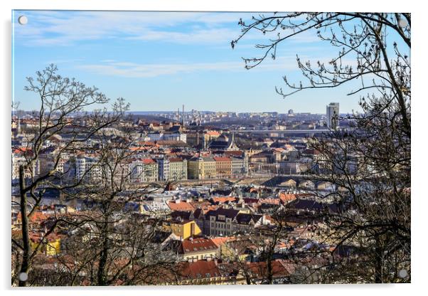 Aerial view of Prague Acrylic by Jelena Maksimova