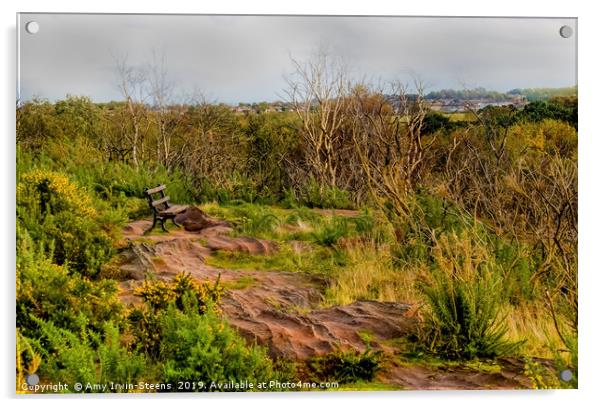Thurstaston Hill View Point Acrylic by Amy Irwin-Steens