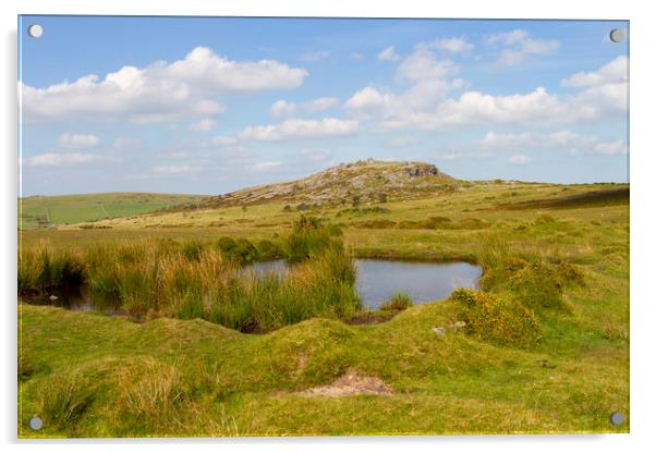 The Cheeswring on Bodmin Moor Acrylic by Carolyn Barnard