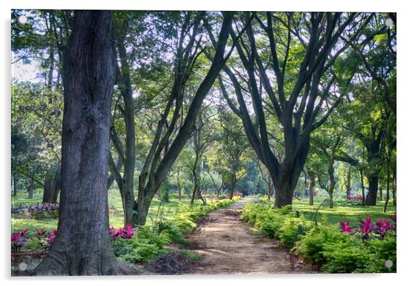 Cubbon Park Natures Path Acrylic by Mohamed Safeek S