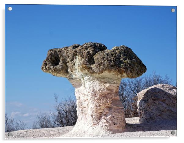 Stone mushrooms Acrylic by Martin Smith