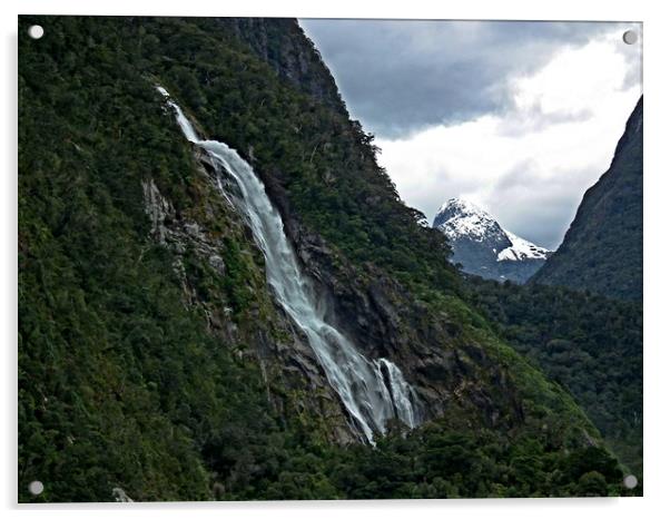 Bowen falls, Milford Sound, New Zealand Acrylic by Martin Smith