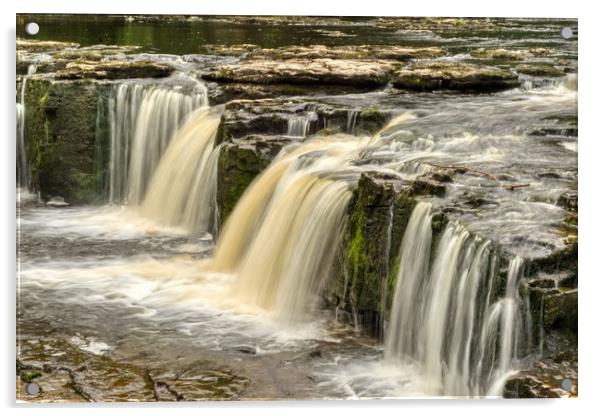 Aysgarth falls near Leyburn in Yorkshire Acrylic by Kevin Smith