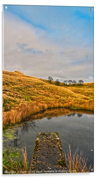 Ogden Reservoir hillside Acrylic by Kevin Smith