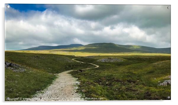 Ingleborough  Acrylic by EMMA DANCE PHOTOGRAPHY