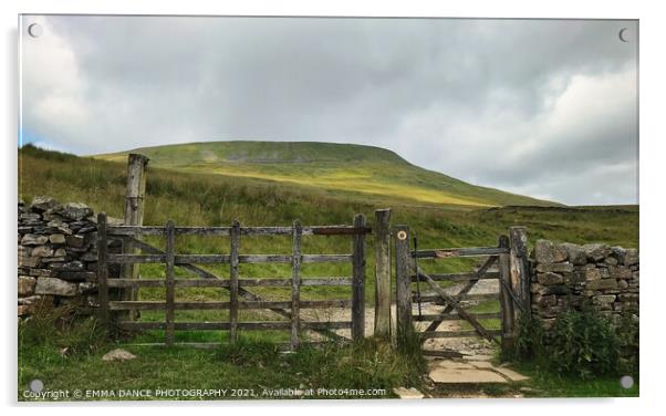 Whernside in the Yorkshire Dales Acrylic by EMMA DANCE PHOTOGRAPHY
