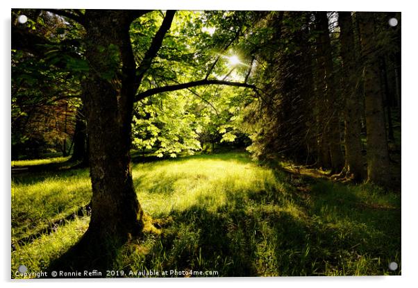 Hidden Meadow Acrylic by Ronnie Reffin
