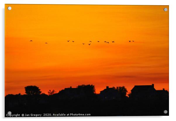 Sunset at Cape Cod Acrylic by Jan Gregory