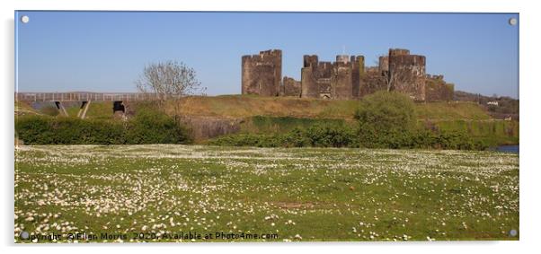 Caerphilly Castle in the Spring Acrylic by Ellen Morris