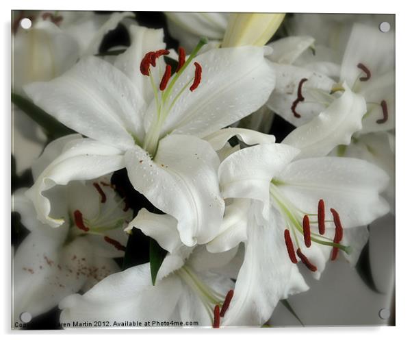 White Stargazer Lilies Acrylic by Karen Martin