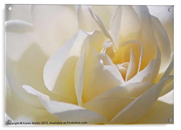 White Rose Acrylic by Karen Martin