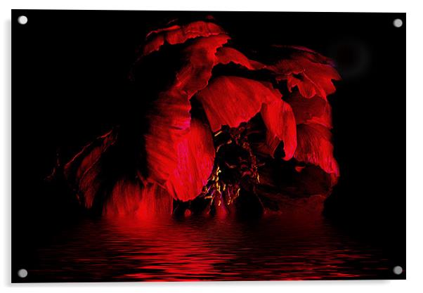 Red Peony Acrylic by Karen Martin