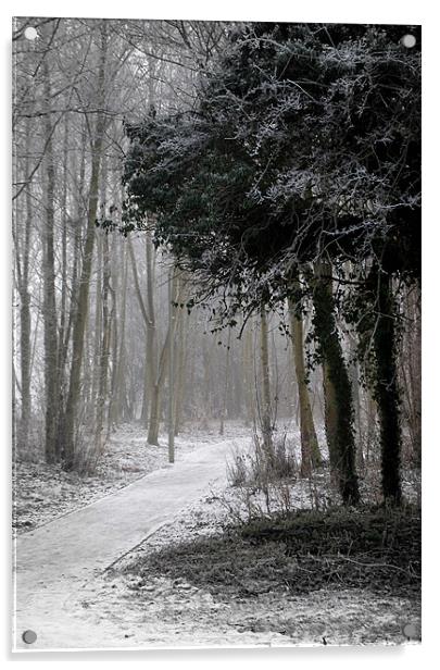 Winter Path Acrylic by Karen Martin